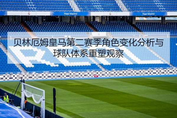 img_1780364966414_3738_1_800.jpg