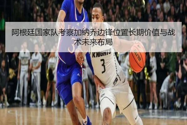 阿根廷国家队考察加纳乔边锋位置长期价值与战术未来布局